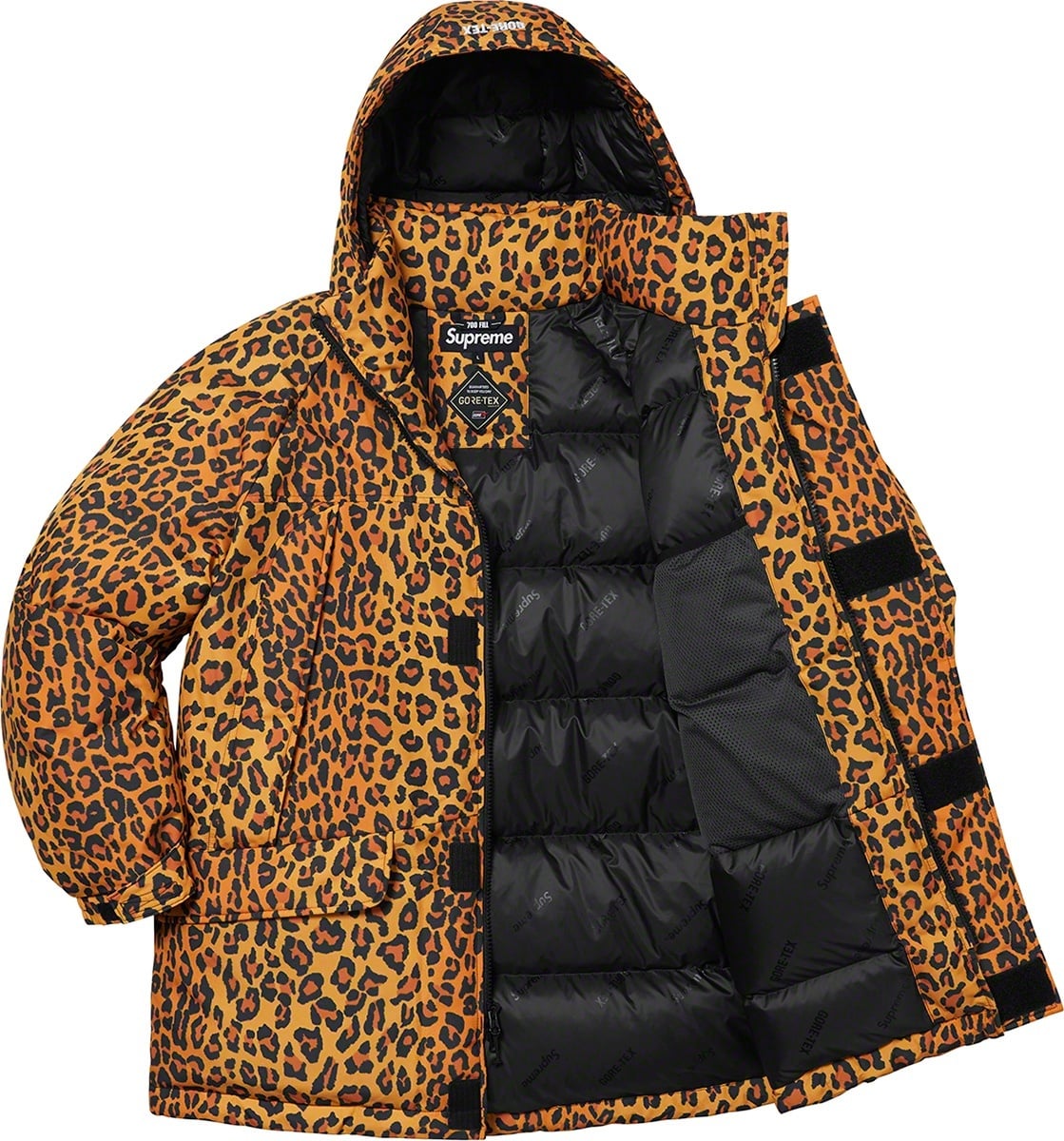 GORE-TEX 700-Fill Down Parka view 23